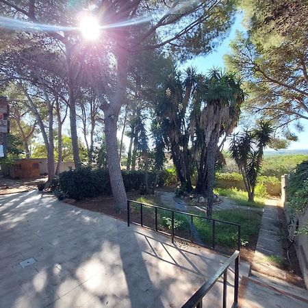 Chalet Rustico Con Piscina Y Barbacoa, Valencia Torrent  Luaran gambar